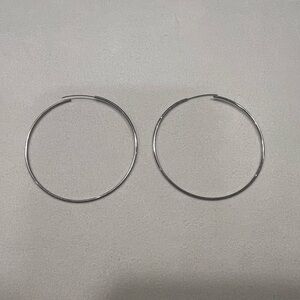 Elegant Silver Hoop Earrings